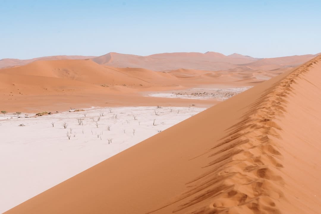 ESG赋能前景 全球首单绿色保函银团项目落地